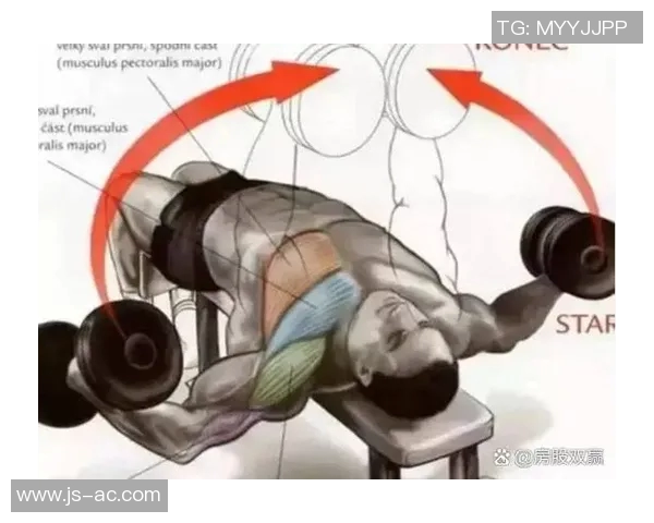 哑铃快速练胸肌的有效方法与技巧助你打造完美胸部线条